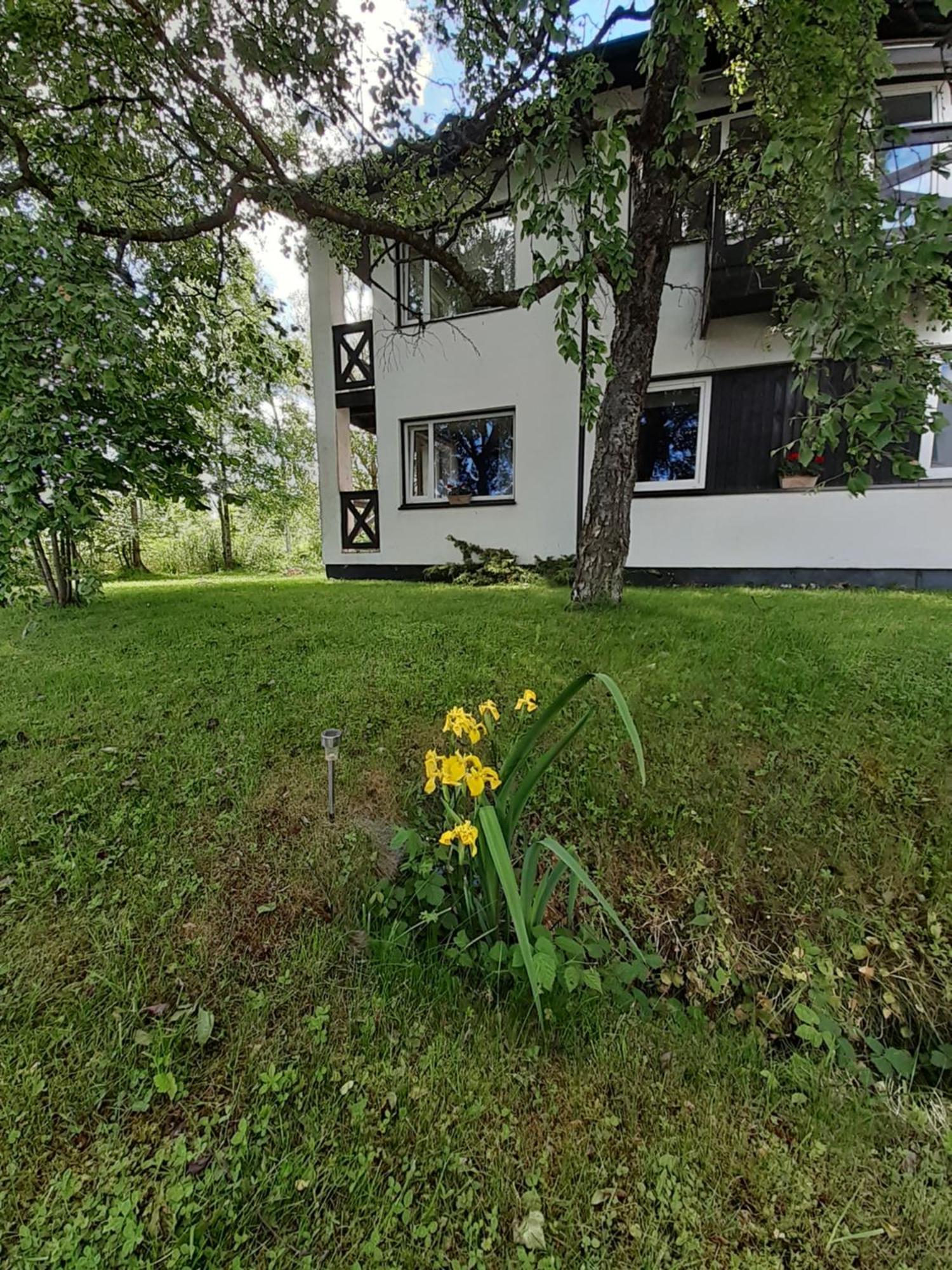 Tuule Villa 쿠레사아레 외부 사진